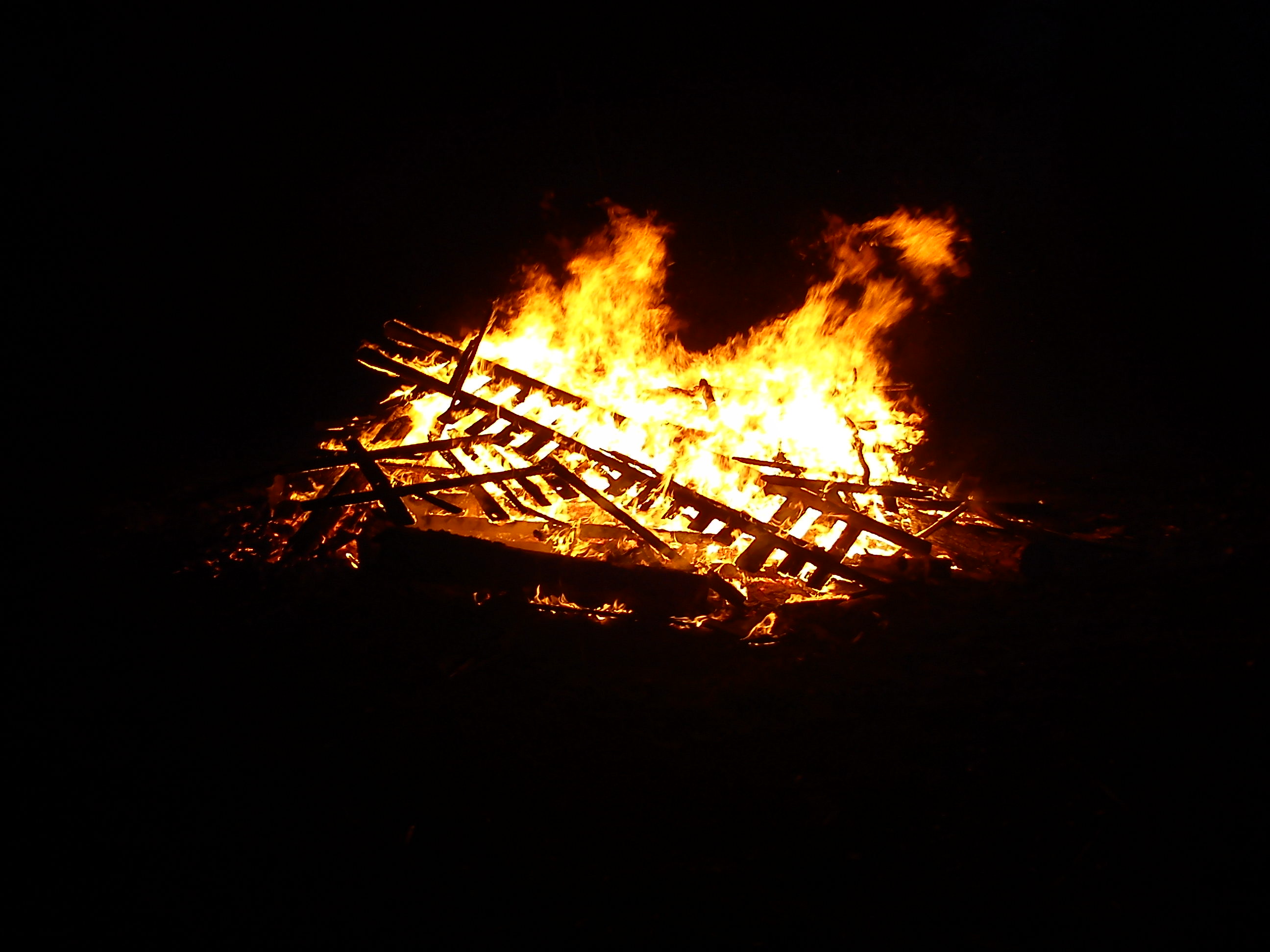 DSC00250