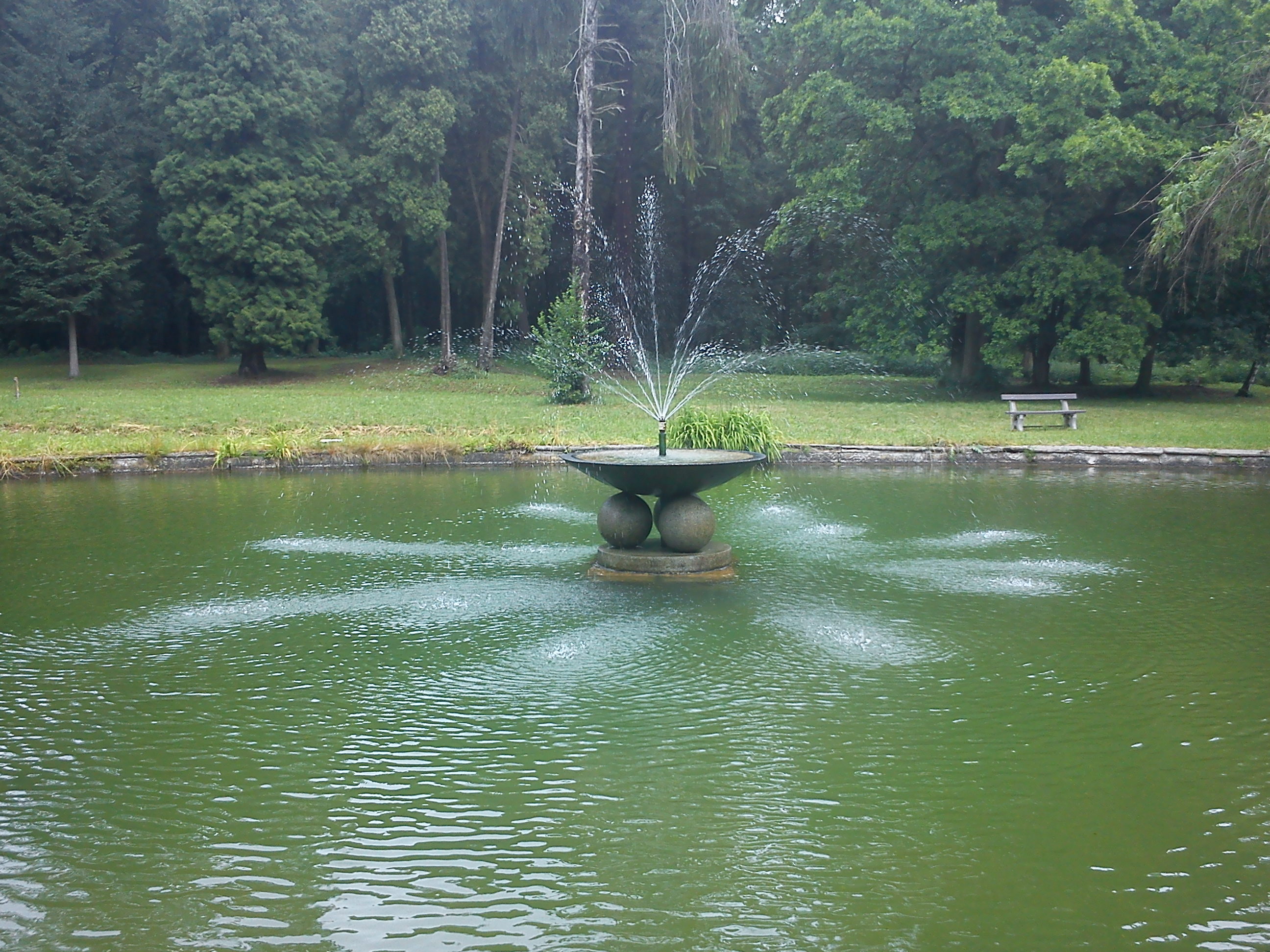 DSC00319